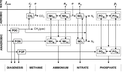 Figure 21  Schematic of SOD-nutrient flux model of the sediments.  