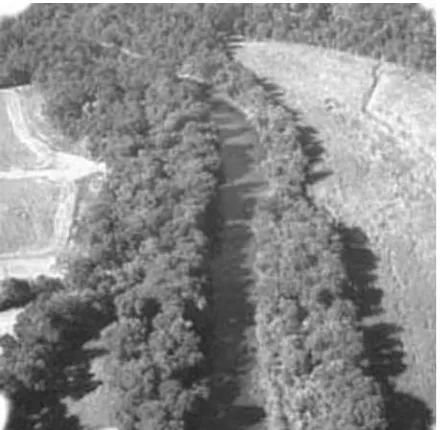 FIGURE 1.9River with an adjacent (riparian) buﬀer. (From NRCS, 2005g.)