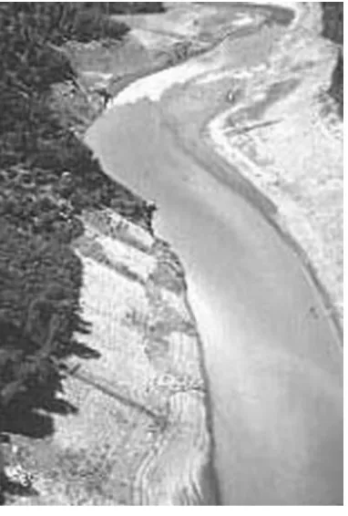 FIGURE 2.12Chemical (herbicide) spill in the Sacramento River. (From State of California,2005a.)