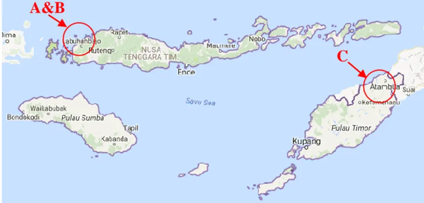 Gambar 4.5 Peta Nusa Tenggara Timur Beserta Lokasi Spesifik yang  Diinterpretasikan 