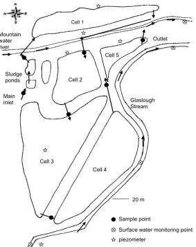 Figure 2.2 Wetland cell in Glaslough, near Monaghan, Ireland 