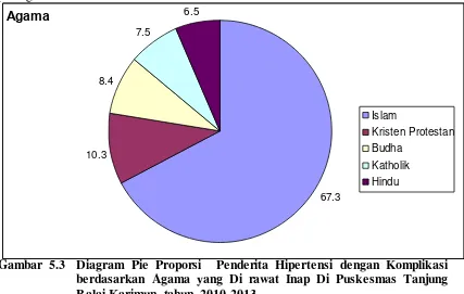 Gambar 5.3  Diagram Pie Proporsi  Penderita Hipertensi dengan Komplikasi   