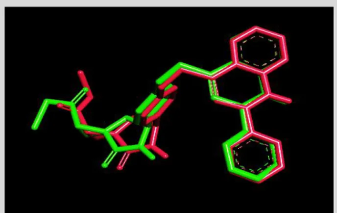 Gambar  2.  Overlay  posisi  ligan  asli  dan  ligan  copy  (Merah  muda  =  ligan asli; Hijau tua = ligan copy) 