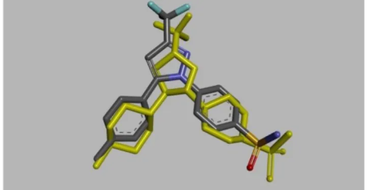 Gambar  4.  Visualisasi  tumpang  tindih  ligan  alami  Celecoxib  (warna  abu 