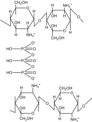 Gambar 2. Struktur Crosslink Kitosan Tripolifosfat 