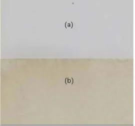 Gambar 2. Kertas HVS 100 g/m2,(a) awal dan (b) hasil pemutihan