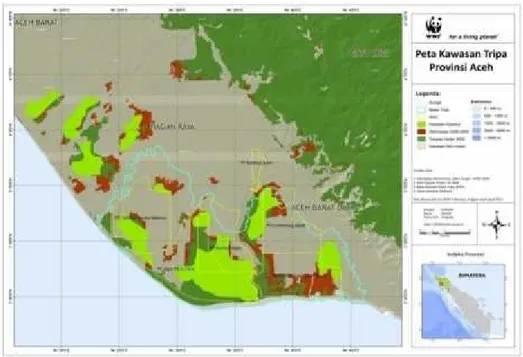 Gambar 2.1 Peta Kawasan Hutan Rawa Tripa 37