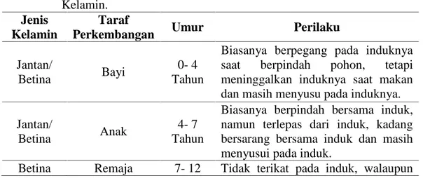 Tabel  2.1  Perilaku  Khas  Orangutan  Berdasarkan  Golongan  Umur  dan  Jenis Kelamin.