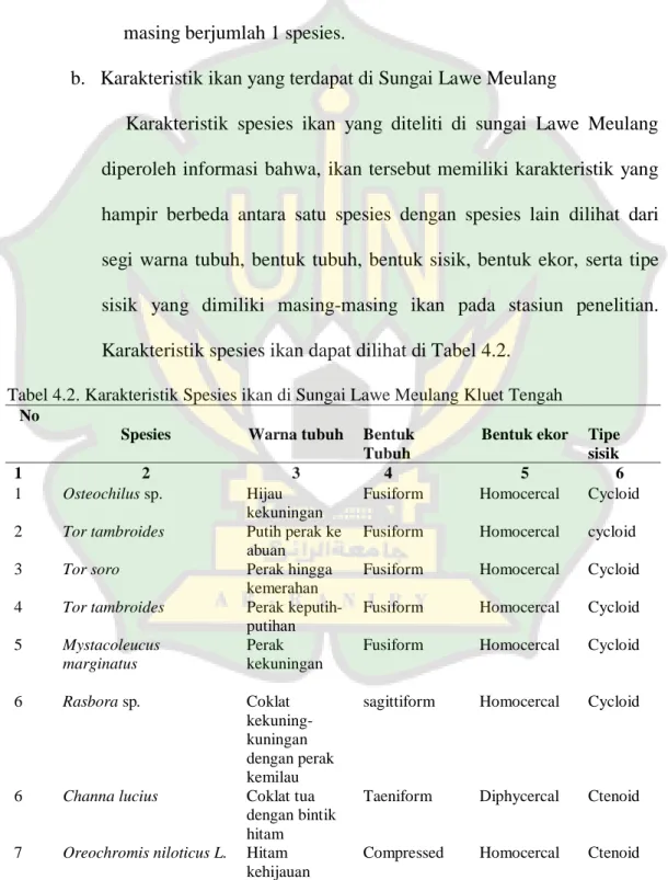 Tabel 4.2. Karakteristik Spesies ikan di Sungai Lawe Meulang Kluet Tengah  