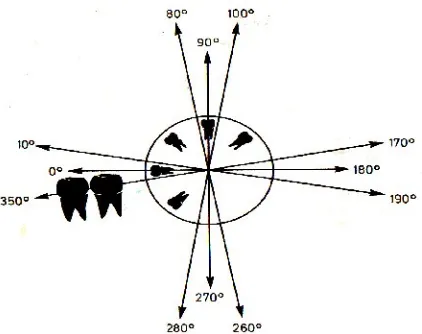 Gambar 1 Diagram yang menunjukkan berbagai sudut molar ketiga bawah (Sumber:Tetsch P, Wagner W.Pencabutan gigi molar ketiga.Jakarta:EGC; 1992