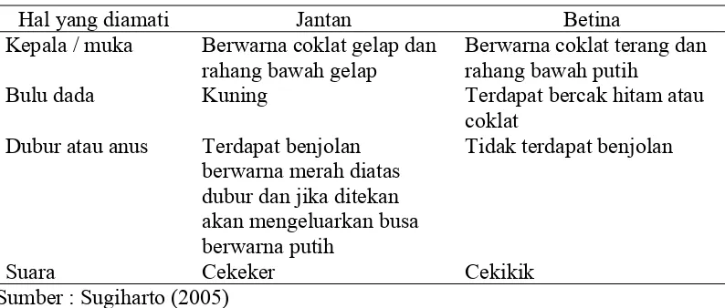 Tabel 1.  Perbedaan Burung Puyuh Jantan dan Betina.  