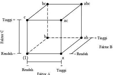Gambar 6. Kubus geometrik faktorial desain 23