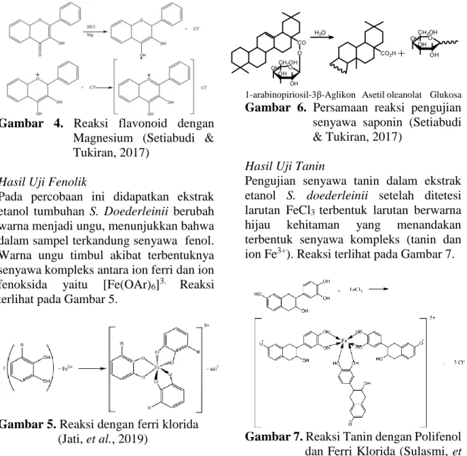 Gambar  4.  Reaksi  flavonoid  dengan  Magnesium  (Setiabudi  &amp; 