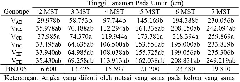 Tabel 1. Rataan Tinggi Tanaman 2 s/d 7 MST dari Beberapa Genotipe (cm)  