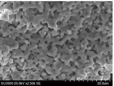 Gambar 4. Foto SEM serbuk bahan aktif LiFePO 4 hasil sintesis dengan perbesaran 2500 kali  