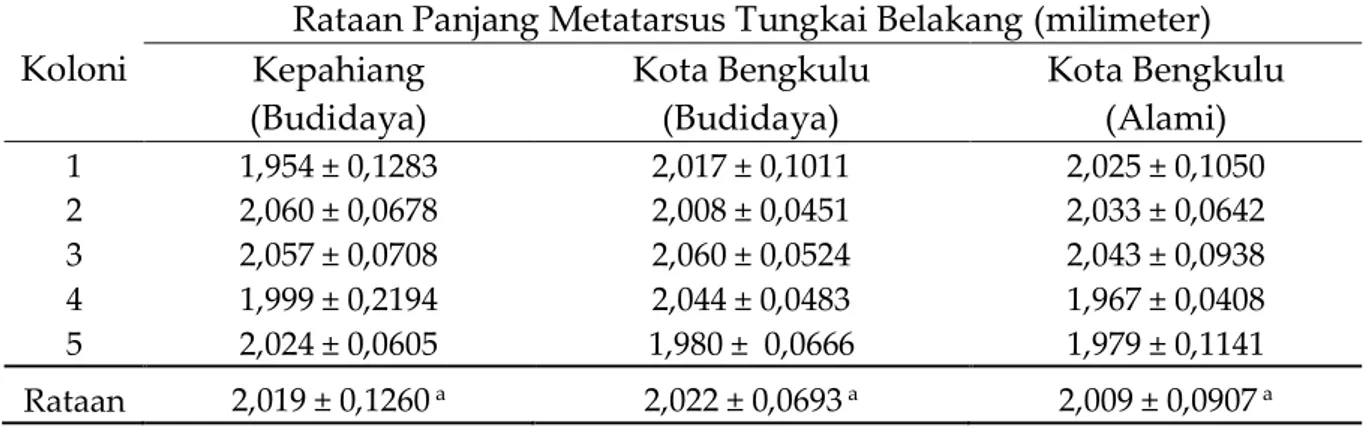 Tabel 5. Rataan panjang metatarsus tungkai belakang lebah madu pekerja A.  cerana berdasarkan dua ketinggian tempat yang berbeda 