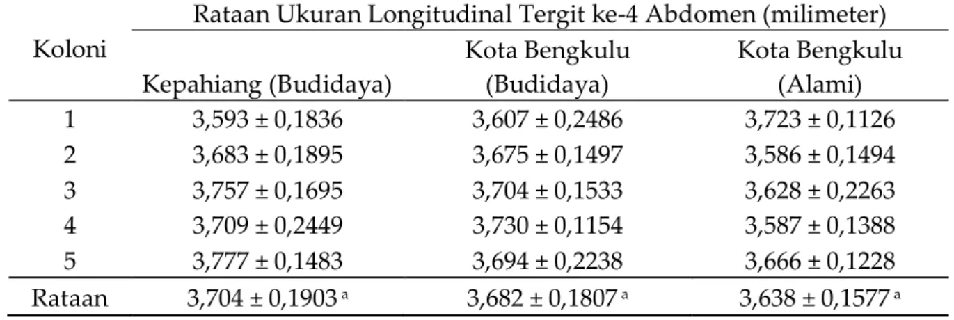 Tabel 8. Rataan ukuran longitudinal tergit ke-4 abdomen lebah madu pekerja A.  cerana  berdasarkan dua ketinggian tempat yang berbeda 