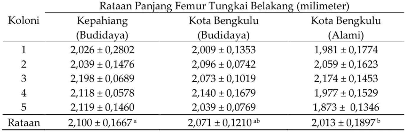 Tabel 3. Rataan panjang femur tungkai belakang lebah madu pekerja A. cerana di  lokasi yang berbeda 