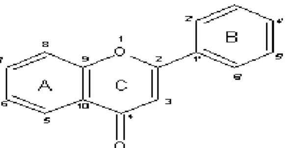 Gambar 2.2. Struktur flavonoid (Sumber: Markham, 1988) 