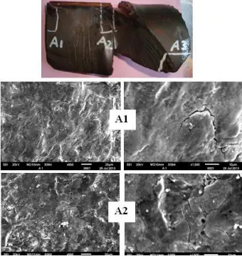 Figure 34. SEM microfractographs obtained from fracture  surface of the broken quill shaft A around the fatigue crack initiation sites A1 and A2, respectively  