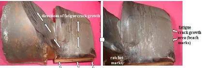 Fig. 9 that the fatigue crack growth which is 