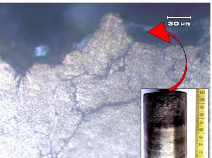 Gambar 10. Foto permukaan stemmelintang dengan OM, fasa yang terbentuk martensit temper
