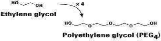 Gambar 3. Reaksi polimerisasi etilen glikol 