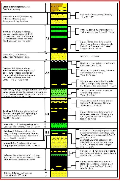 Gambar 3. Skema Penampang Litologi Tambang Air Laya, tanpa skala  (PT. Bukit Asam (Persero), Tbk, 2007)