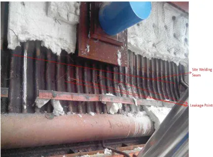 Figure 1. Photograph of cage superheater tubes after the accident showing locations of tube leakages 