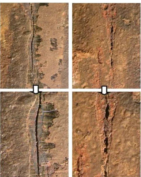 Figure 3. Macroscopic view of some longitudinal cracks area obtained from the external surface of the tube shown  in Figure 2 