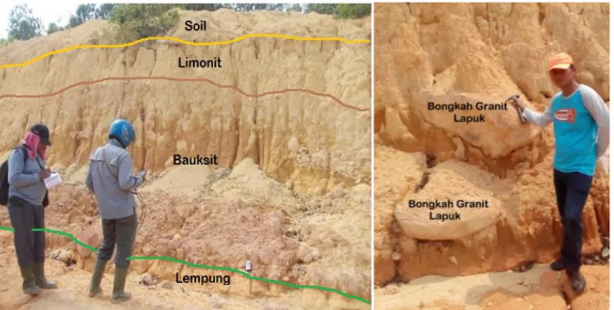 Gambar 5. Peta geologi Pulau Singkep yang telah direvisi oleh penulis.