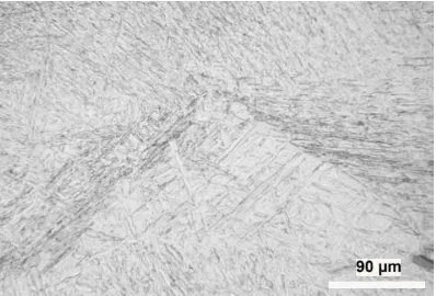 Gambar 5. Strukturmikro baja laterit paduan  NiCrMn hasil tempa panas pada temperatur 1200 °C dengan beban 50 ton