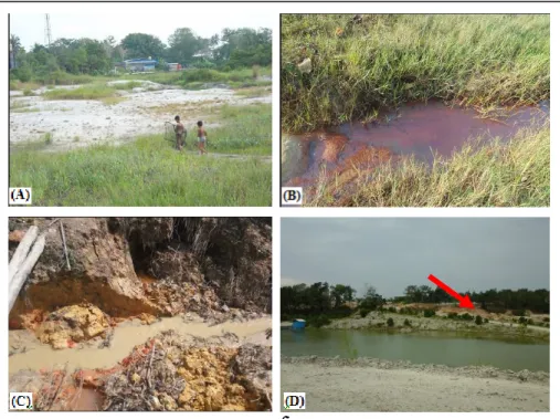 Gambar 2. Foto: (A dan B) hamparan tailing pasir pasa eks lokasi penambangan timah/TI dan  endapan sedimen yang tebal pada aliran sungai masuk Kolong Retensi Kacang Pedang, (C) Suspensi 