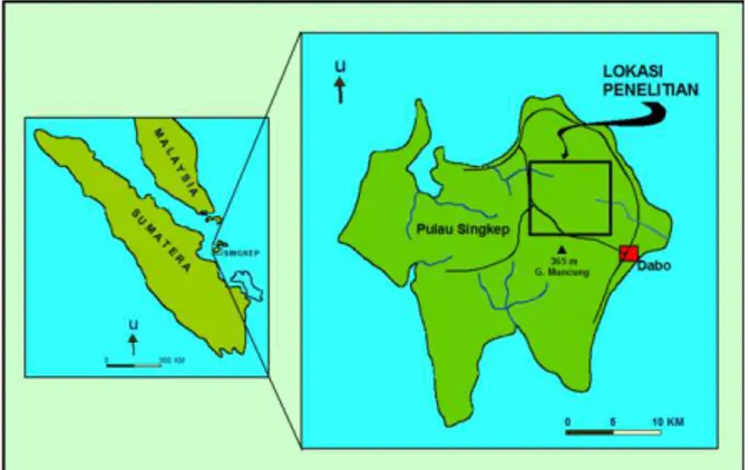 Gambar  1.  Penyebaran  granit  jalur  timah  Asia  Tenggara [1]. 