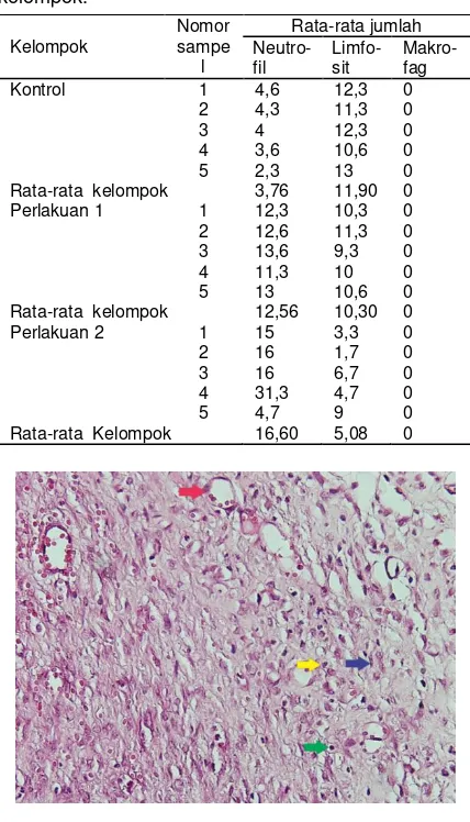 Tabel 2. Analisis perbedaan penyembuhan luka (neovaskuler, fibroblas, neutrofil, limfosit) tiap kelompok