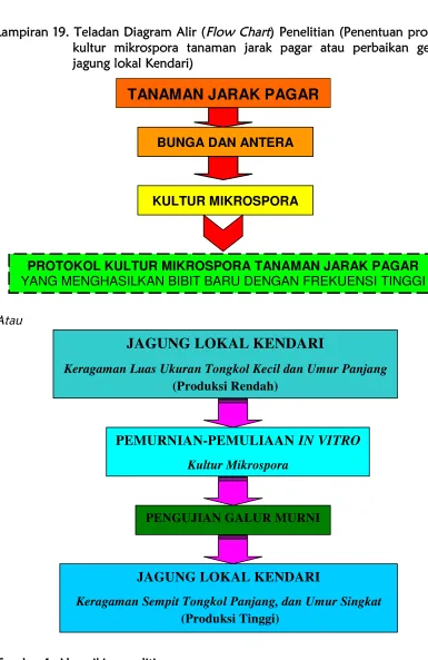 Gambar 1. Alur pikir penelitian