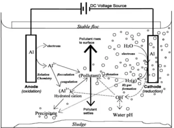 Gambar  2.1  memperlihatkan  proses  elektrokoagulasi  yang  sangat  kompleks.  Dimana  koagulan  dan  produk  hidrolisis  saling  berinteraksi  dengan  polutan atau dengan ion yang lain atau dengan gas hidrogen