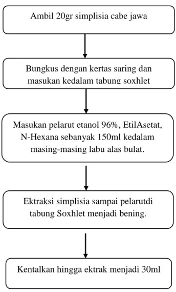 Gambar 3.4 skema ekstraksi cabe jawa menggunakan  metode soxhletasi dengan berbagai pelarut