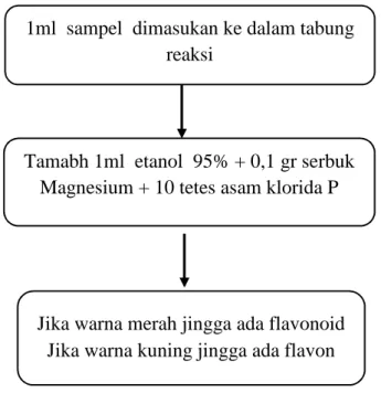 Gambar 3.10 skema skrining fitokimia uji flavonoid  4.  Uji Tanin 