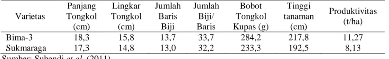 Tabel 5.  Keragaan tanaman jagung Demfarm SL-PTT Jagung Kabupaten Banyuasin Tahun 2011 