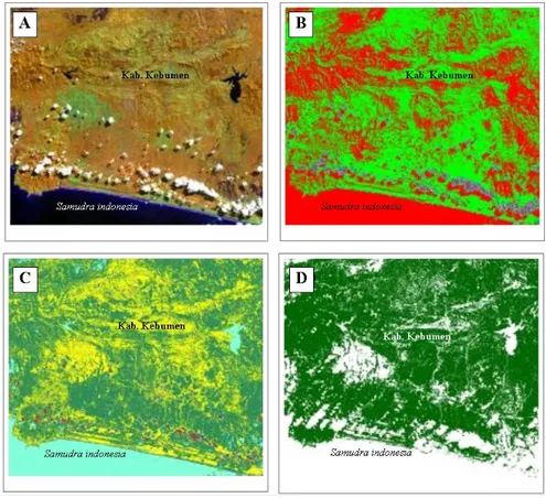 Gambar 5.   Citra Transformasi dan Komposit Landsat TM Wilayah Kebumen (A.  Komposit RGB 452, B