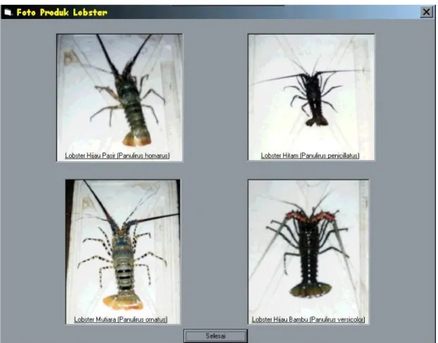 Gambar 3 Tampilan form foto produk lobster Berdasarkan  hasil  pembentukan  sistem  