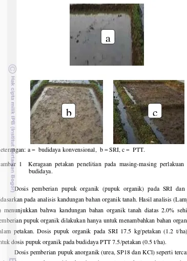 Gambar 1  Keragaan petakan penelitian pada masing-masing perlakuan sistem   