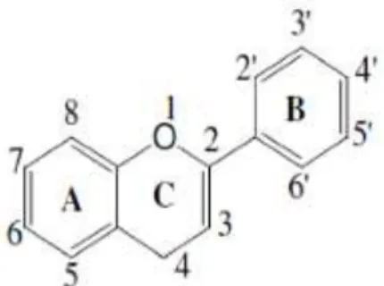 Gambar 3. Struktur senyawa flavonoid 