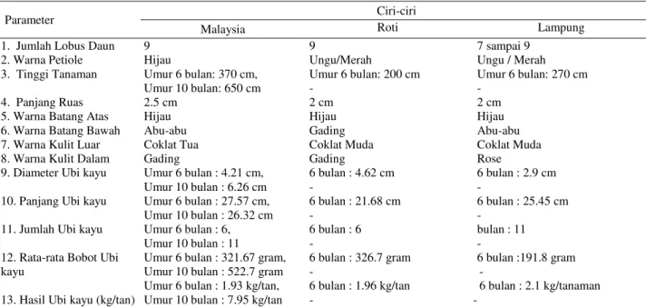 Tabel 1 . Hasil Identifikasi karakter Ubi kayu Malaysia , Roti dan Lampung