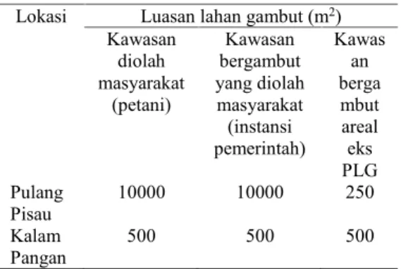 Tabel  1.  Luas  lahan  gambut  yang  digunakan untuk penanaman ubi kayu