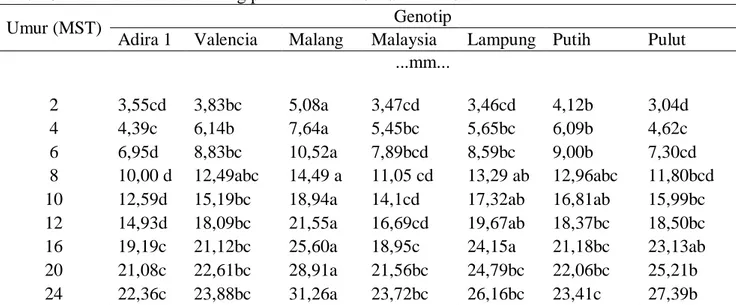 Tabel 9. Rataan Diameter Batang pada umur 2 MST s/d 24 MST 