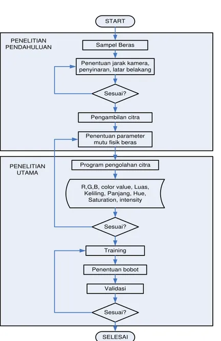 Gambar 4  Diagram alir prosedur penelitian pengolahan citra digital dan Jaringan Syaraf Tiruan (JST)