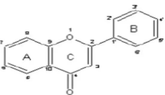 Gambar 2. Struktur senyawa flavonoid (Sumber: Tapas, et al., 2008).