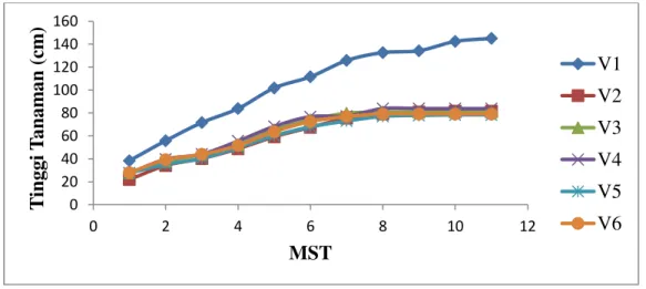 Gambar 2. Grafik perbandingan tinggi tanaman 2 ± 12 MST beberapa varietas. 